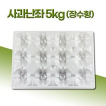 (주)영농 사과난좌 5kg 장수형 7과부터 22과 50개 과일포장 과일선물 과일선물세트, 장수형 13과