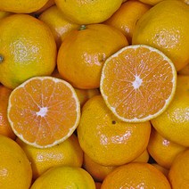 맛가득 제주 레드향 한라봉 천혜향 황금향 하우스귤 비가림 타이벡 타이백 청귤 밀감, 당도선별 감귤, 레드향/황금향/천혜향/한라봉/감귤, 고당도 타이벡 L (40-46과) 5Kg