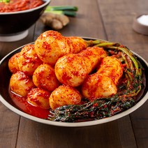 충주사과김치 총각김치3kg, 3kg, 1박스