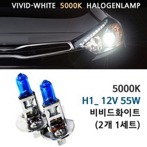 5000K 비비드화이트 현대 투싼IX 10-13년 전조등 상향등 하향등 안개등 자동차램프, 1세트, 5000K 투싼IX 상향등 H1(2개1세트)