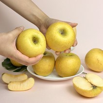 [팜플레이스] 가성비 선물용 아삭달콤한 시나노 스위트 골드 사과, 실속(대과), 1개, 3kg