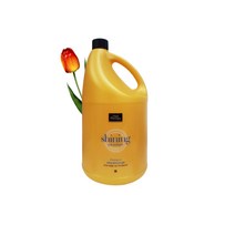 미쟝센 헤어테라피 샤이닝 모이스처 샴푸 4200ml 1개 수분가득 촉촉한 찰랑거리는