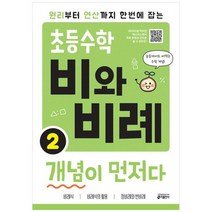 [키출판사] 초등수학 비와 비례 개념이 먼저다 2 원리부터 연산까지 한번에 잡는, 없음