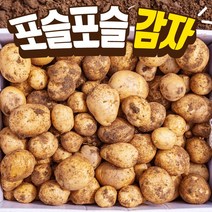 국내산 감자 햇 수미감자 5kg 알감자 찜용 반찬용, 햇감자 대 반찬용-5kg