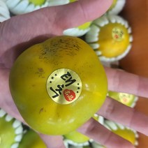 태추단감 배단감 달고 아삭한 감, 2kg, 1개