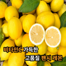 [비타민C듬뿍] 마미템 미국산 칠레산 팬시 레몬 중과 대과, 중과13입(2kg), 1개