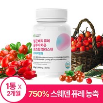 유럽산 링곤베리 퓨레 로즈힙 글루타치온 엘라스틴 커먼헬스 60정, 1통(2개월분)
