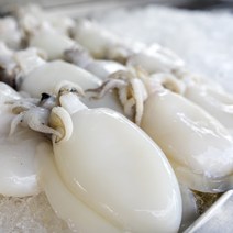 국내산 완전손질 갑오징어 소 사이즈 2-3미 250g 10팩 20-30미, 10개