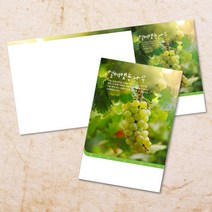 교회주보 예배 주보용지 3단6면 주보지 안내지 전도지 절기 부활절 추수감사 맥추감사 성탄절 신년감사 디자인 기독교용품, EW-52