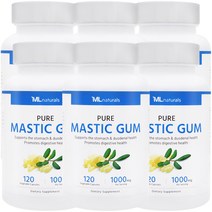 [미국빠른직구] 마이라이프 내추럴스 매스틱검 1000mg 120정 6병