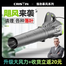 무선 핸드 에어건 낙엽 청소기 차량용 미니 휴대용, 고급형 4600W-6단 속도 조절
