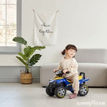 야야 굿이어 바이크 유아 25kg이하용 붕붕카 균형 방향감각 운전놀이 블루