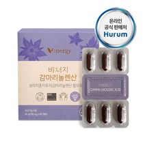 베러헬시 달맞이꽃종자유 혈행개선 영양제 생리통 콜레스테롤 개선 보라지꽃 PMS, 1개, 360캡슐