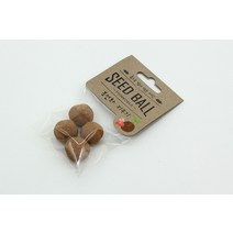 씨드볼 봉선화 키우기 홈가드닝 꽃 씨앗 기르기