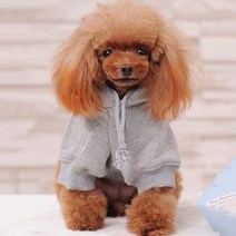 강아지 후드 티셔츠 애견 무지 기모 후드티 겨울 옷, 그레이