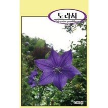 씨앗과세상만물 도라지 씨앗 1500립, 1팩