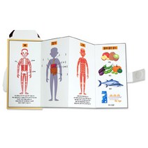 홈스쿨링 우리몸 건강음식 스토리북 만들기 수업키트 미술패키지 어르신만들기 어르신