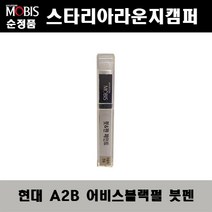 현대 스타리아라운지캠퍼 A2B 어비스블랙펄 417 붓펜 자동차 도색 차량용 카페인트, A2B 어비스블랙펄 붓펜
