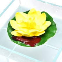 부상식 연꽃 베타침대 노란색-물에 뜨는 베타 산란장 인조 수초장식