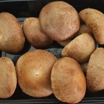 상록월드 농산물 표고버섯 200g 1Kg 2Kg, 1팩