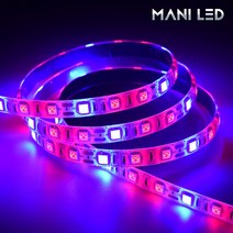 고휘도 식물성장등 LED 5M롤 12V 방수 전구 조명 램프 생장 재배 난초 다육 과채류, 식물성장 LED바 방수 01번_2:1(레드2:블루1), 1개