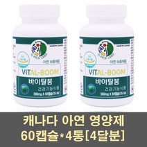 캐나다아연 아연 징크 영양제 글루콘산아연 마그네슘 면역력 알부민 난백 로얄젤리 인삼 호손베리 분말 가루 캡슐 어린이아연 남자 여자 가족, 4통, 60캡슐