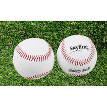 캐치볼 연습 소프트 안전 야구공 수행평가 야구시합공 야구연습 야구용공 체육수업 사회인야구공 장식용