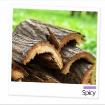 프래그런스 원액오일 100ml 22종 택1 디퓨저 소이캔들 캔들DIY 고급향료 대용량 가성비, 샌달우드