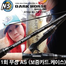 NS 블랙홀 다크호스 배스 V2 루어낚시대+하드 케이스포함.그린피싱, 2.다크호스 배스V2 (스피닝) S-682M 루어대