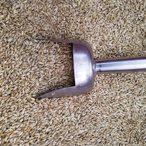 보리종자 보리씨앗5kg(우량종자) 10월 대폭할일, 보리씨앗5kg, 1개