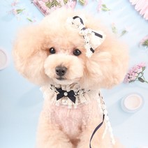 팝앤퍼피 셔링레이스케이프, M, 네이비