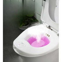 버블 좌욕기 온도 측정 가정용 임산부 산후 온열 좌욕, (듀얼홀플러싱) 전기비데