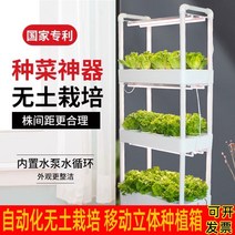 수경재배기 채소재배기 상추 식물재배 상자 무토양 야채 지능형 재배자 실내 재배 장비, 수지, 다른 스타일, 중간