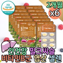 대용량 술먹고 약 12개월 밀크씨슬 숙취 술빨리깨는법 엉겅퀴 간비타민 밀크시슬 추출물 잠을자도피곤 간 영양제 비타민비군 피곤할때 숙취 복합 자꾸졸려요 피로에좋은 실리마린