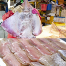 [인천산지직송] 국내산 대청도 홍어 200g x 2 개 중간삭힘, 400gx1(400g)