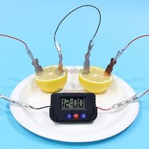 디지털시계 과일전지 1인용 실험교구 과학 실험세트 DIY 만들기재료 과학놀이 관찰