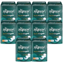 카네이션 성인용 겉기저귀 와이드 매직테이프 특대형, 10개입, 100개