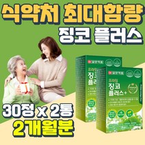 비타민B 판토텐산 징코 아연 면역 코엔자임Q10 망간 셀레늄 플라보놀배당체 건강기능식품 식약처 인증 기능성 퀘르세틴 켐페롤 GINKO 코엔자임큐텐 미국산 혈류 개선 혈관 확장