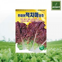 [ 후레쉬적치마상추] 국산용 맛좋은 쌈용상추 3g 7g