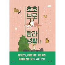 호호브로 탐라생활, 판미동, 한민경 저
