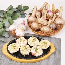 [푸르젠] 충남 서산 전병호님의 난지형 통마늘 (장아찌용마늘), 1개, 1kg(대)