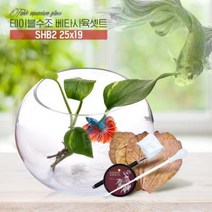 베타사육 풀세트구성 유리어항 SHB2 25x19 알몬드잎 뜰채 사료 스포이드.헬로아쿠아