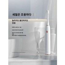 전동 칫솔 모 진동 치솔 음파 세정기 치석 제거기, 블루(발렌타인데이)