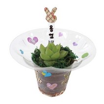 다육이 화분 만들기 (1인용) 어린이집 유치원 식목일키트 식목일 화분체험, 상세페이지 참조