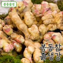 [봉동들녘]국내산 봉동참 흙생강 5kg, 단품