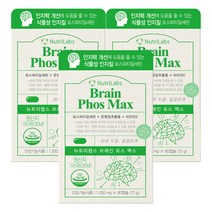 [뉴트리랩스] 브레인 포스 맥스 60캡슐 3개 (총 3개월분), 1개, 단품