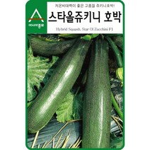 보람농자재 (호박씨앗종자) 스타올쥬키니(70립 600립), 70립