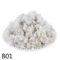 스칸디아 이끼 모스 액자 실내공기정화식물20/40g 자연 인공 식물 이끼 DIY 홈 벽 장식 정원 마이크, 01 B01_01 20g
