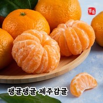 [올해첫수확] 제주 서귀포 조생 노지감귤 중대과 로얄과 5kg 10kg, 서귀포 조생 귤 로얄과 10kg