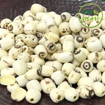 껍질깐 연자육 연밥 연꽃씨 600g